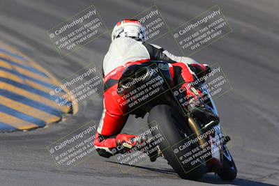 media/Nov-12-2023-SoCal Trackdays (Sun) [[5d1fba4e7d]]/Turn 10 Backside (115pm)/